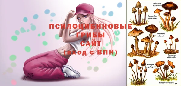 стафф Беломорск